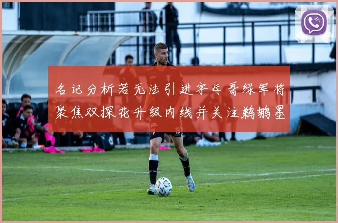 名记分析若无法引进字母哥绿军将聚焦双探花升级内线并关注鹈鹕墨菲