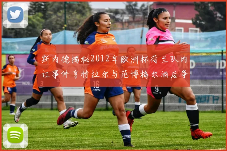 斯内德揭秘2012年欧洲杯荷兰队内讧事件亨特拉尔与范博梅尔酒后争执内幕