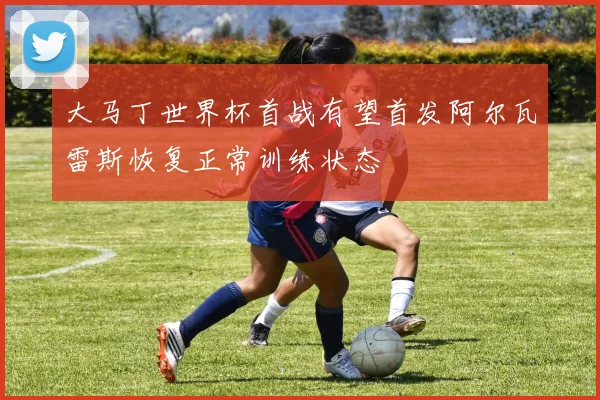 大马丁世界杯首战有望首发阿尔瓦雷斯恢复正常训练状态